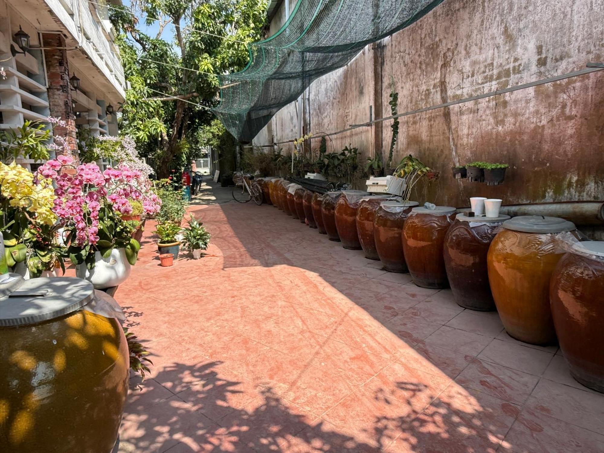 Island Homestay Tien Giang My Tho Exteriér fotografie
