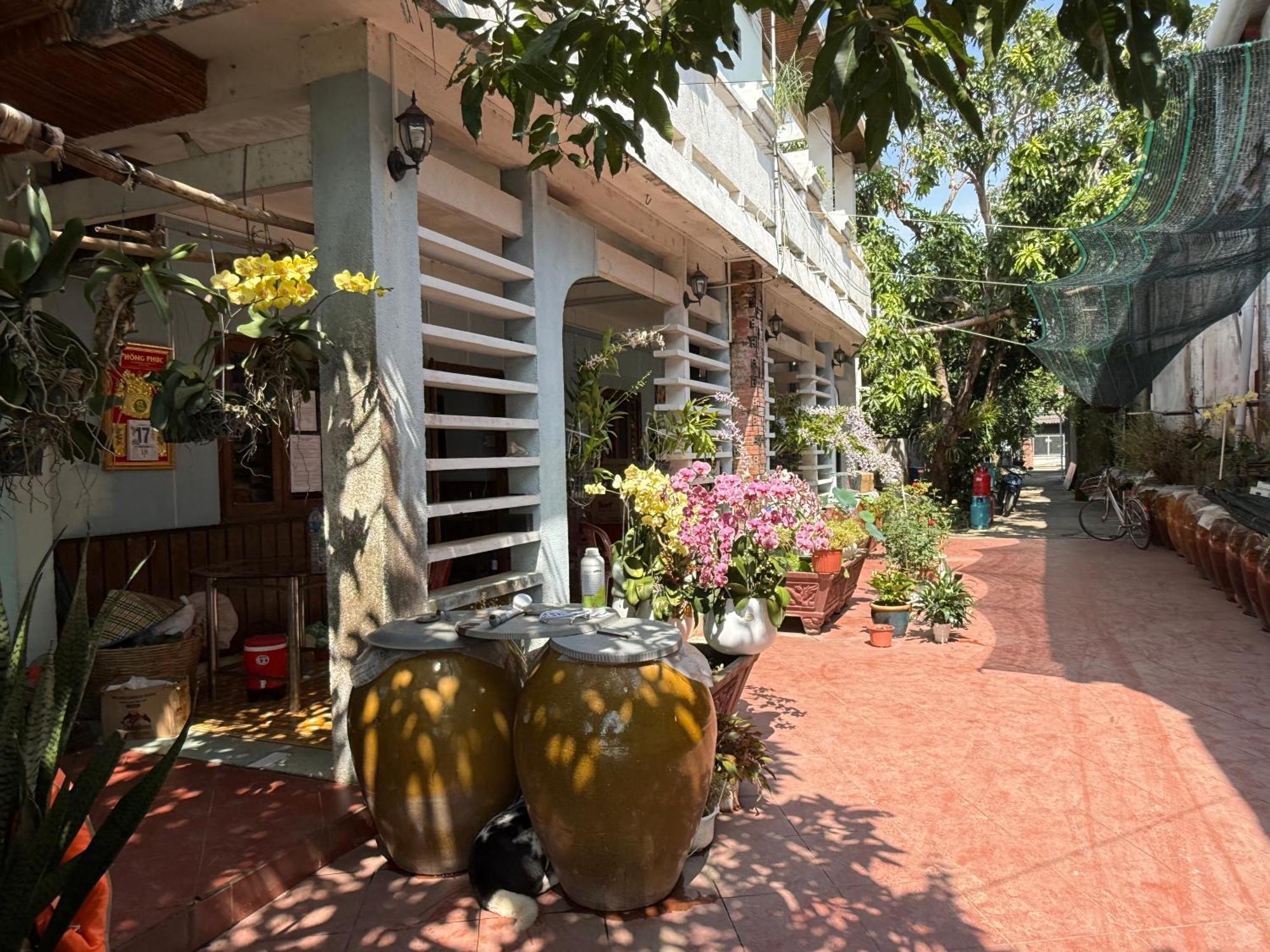 Island Homestay Tien Giang My Tho Exteriér fotografie